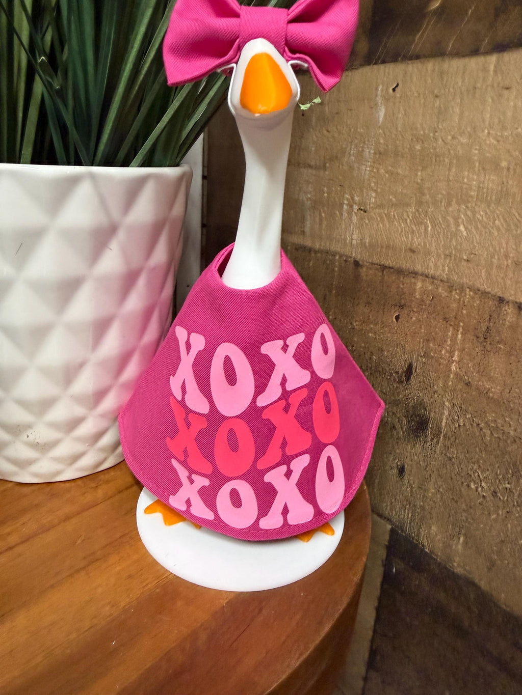 Valentine's Day Desk Goose Outfit