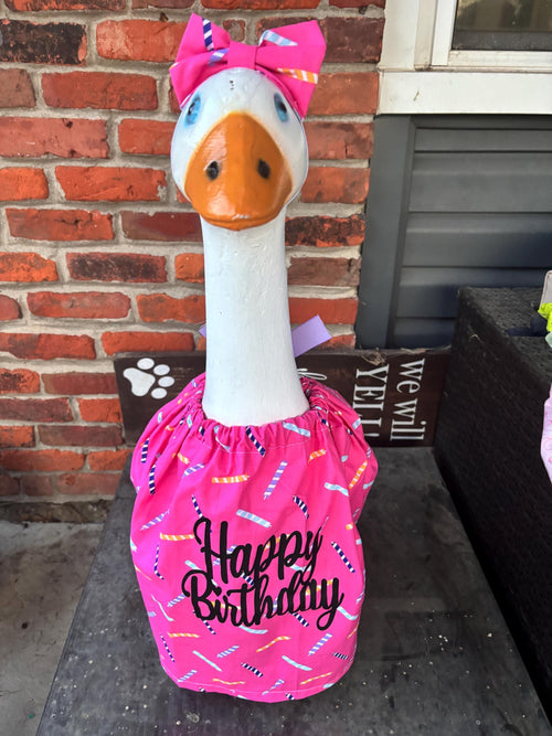 Birthday Goose Outfit – Handmade Party Decor, Fits 23-29" Geese