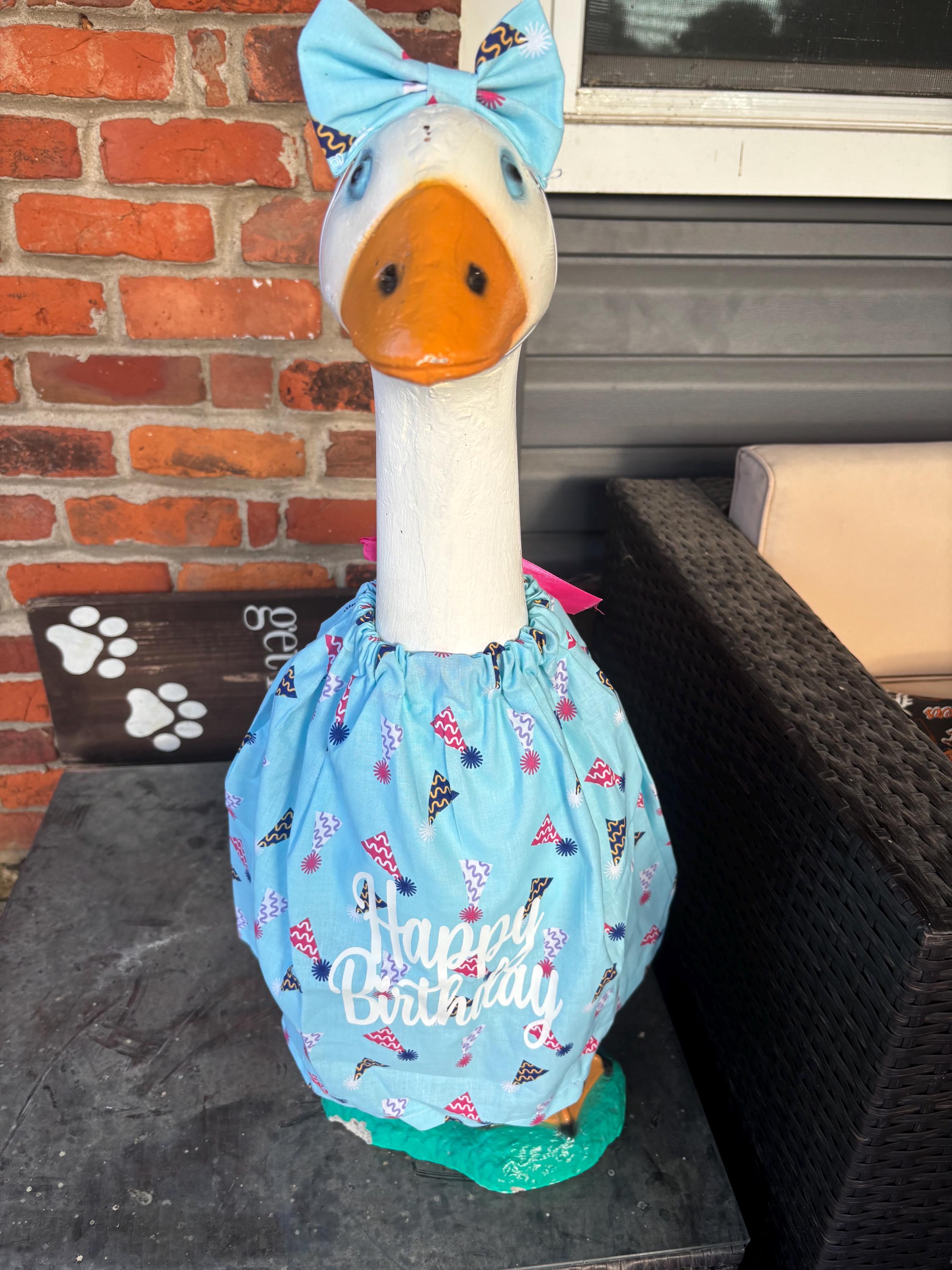Birthday Goose Outfit – Handmade Party Decor, Fits 23-29" Geese