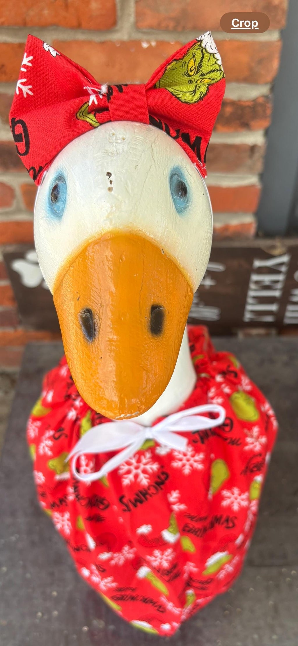 Grinch  23-29 inch porch goose outfit