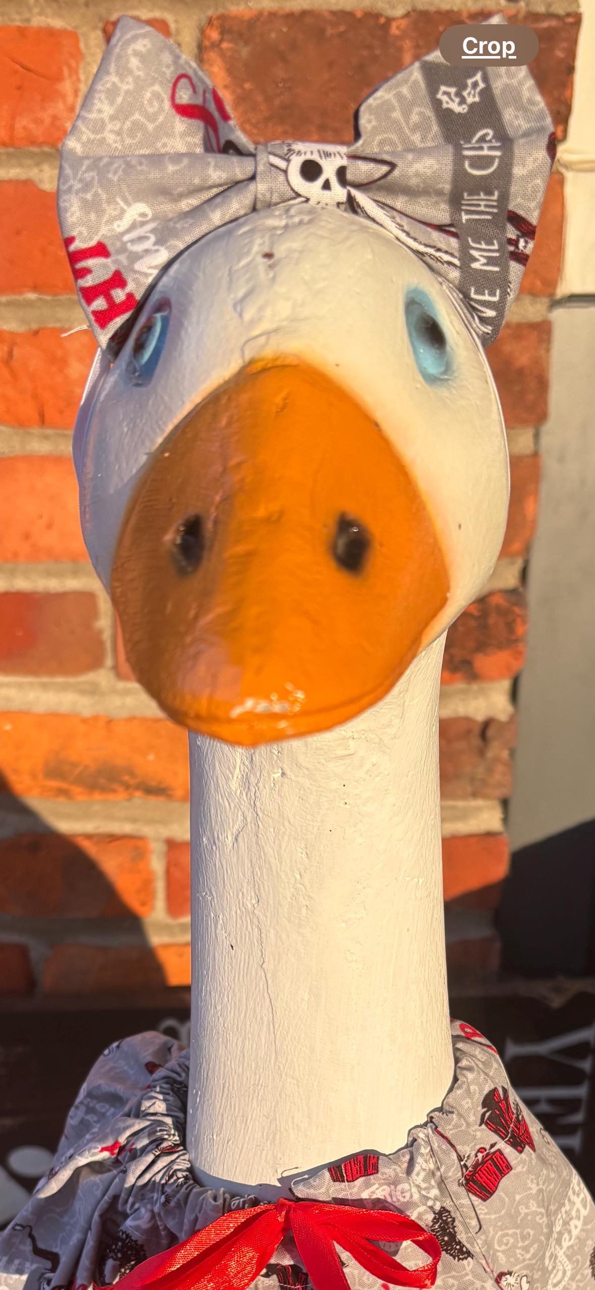 Spooky Holiday Porch Goose Outfit