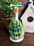 St. Patrick's Day Desk Goose Outfit