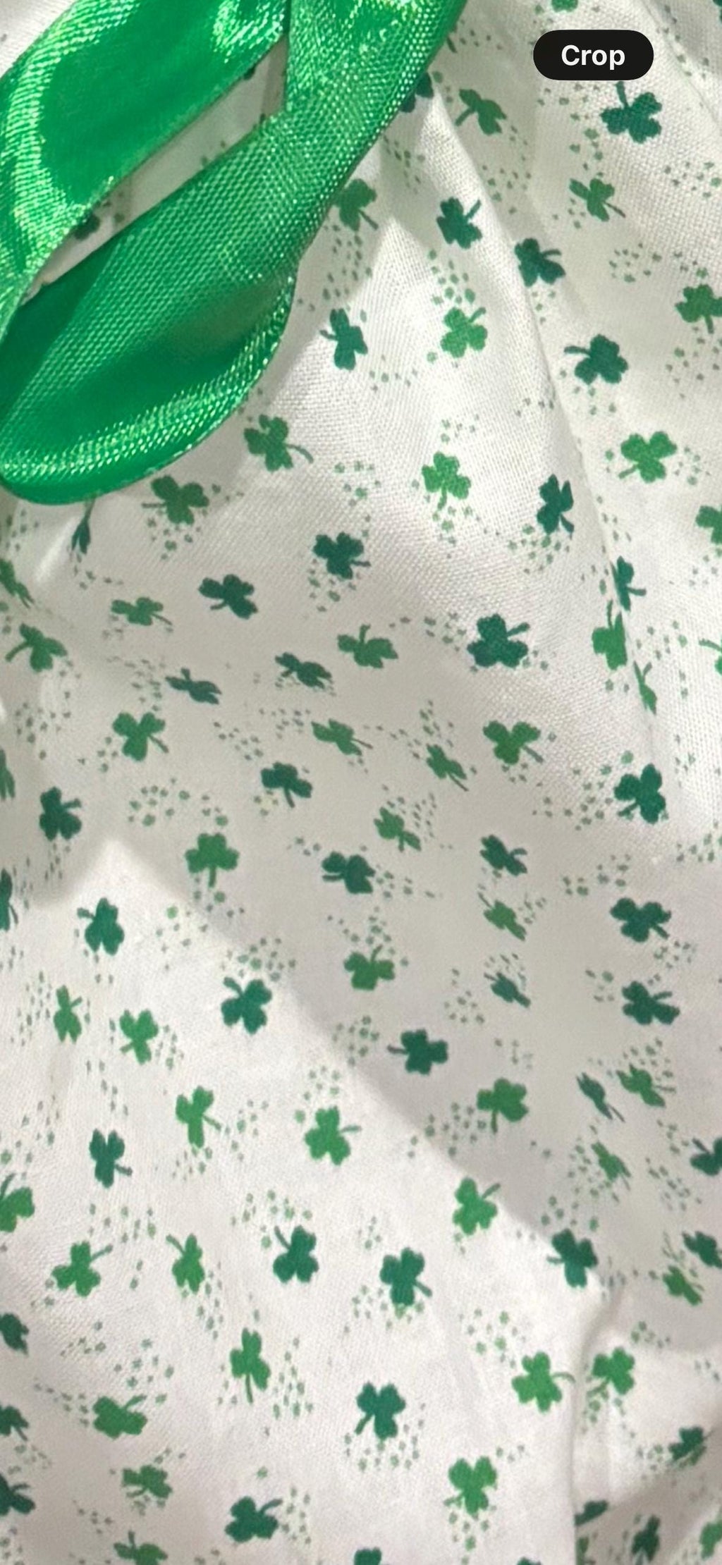 St. Patrick's Day Porch Goose Outfit
