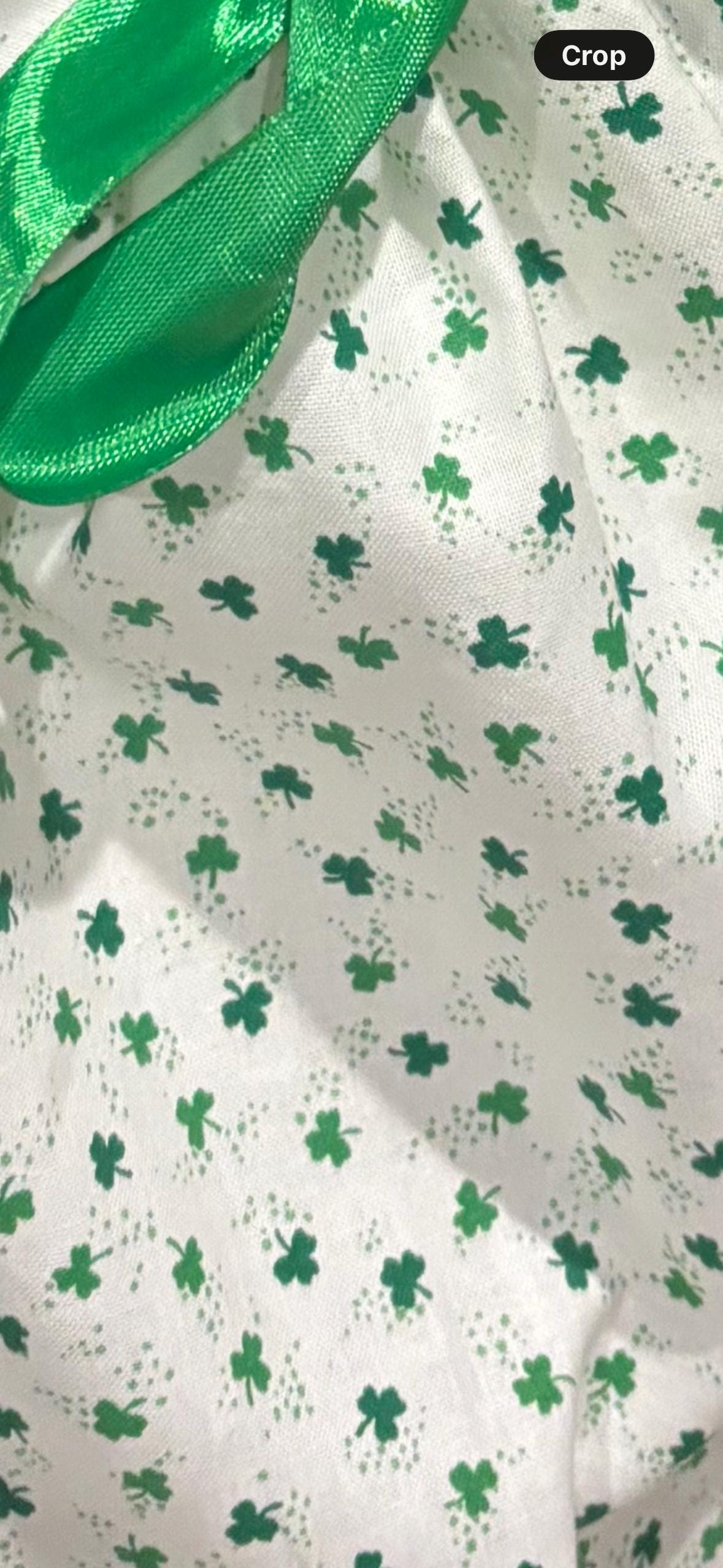 St. Patrick's Day Porch Goose Outfit